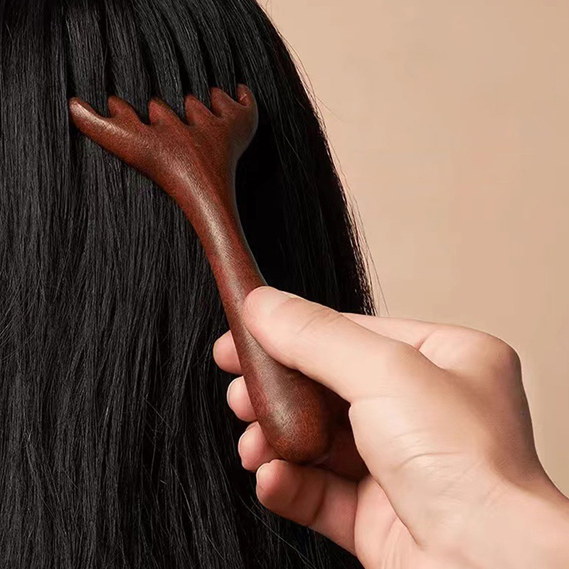 Z. Peigne à dents larges à lon - Hair Care Zone avis et prix